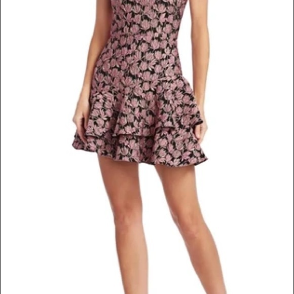 NWT ML Monique Lhuillier Rita Ruffled Mini Dress - Picture 6 of 15